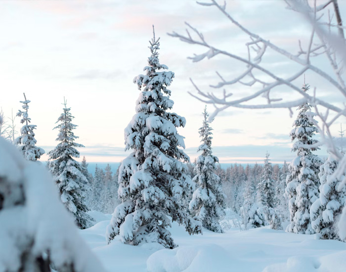 Copia de laponia-02 (1)