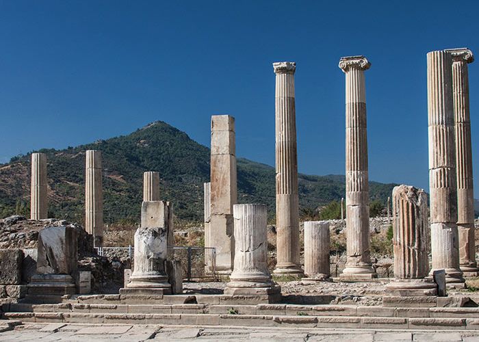 Untitled design (24)