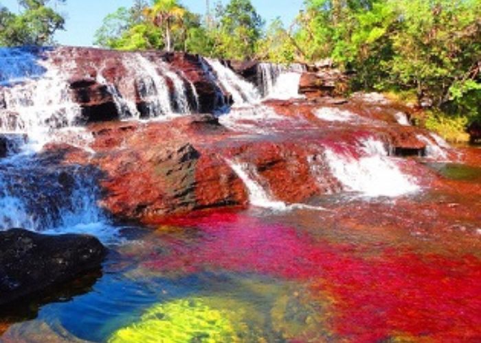 Caño Cristales Plan 4 días