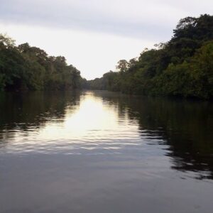 Amazonas plan 4 días