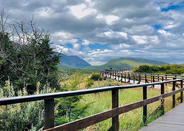 SENDERO DE LA PATAGONIA