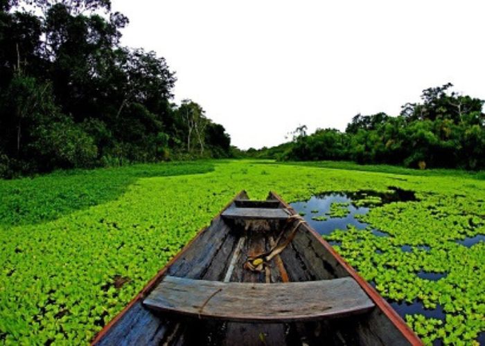 Amazonas plan 5 días