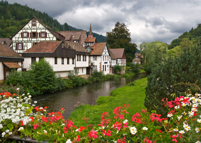 ALEMANIA - SELVA NEGRA Y SUIZA